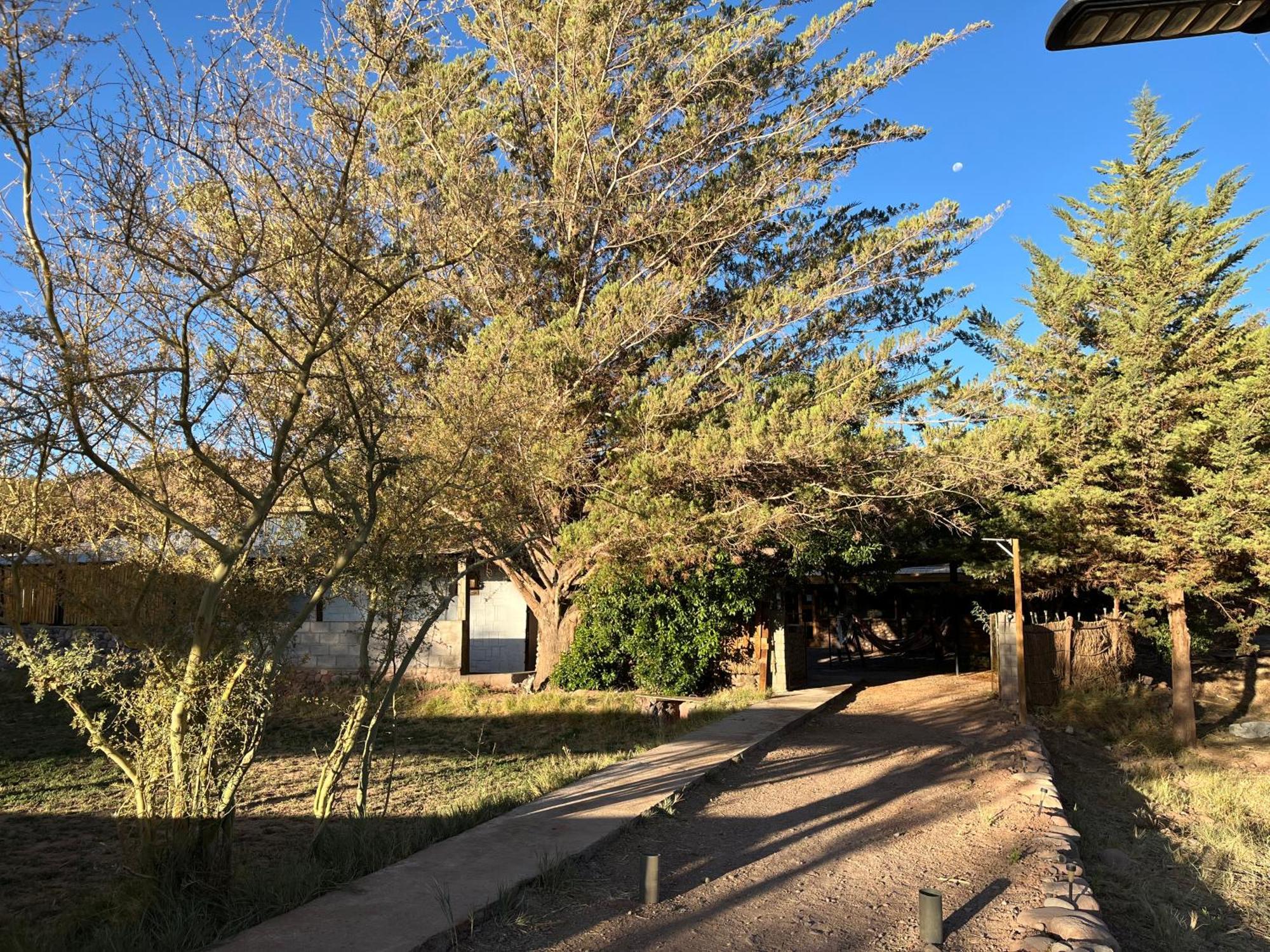 Hostal Piedrita De Rio San Pedro de Atacama Dış mekan fotoğraf